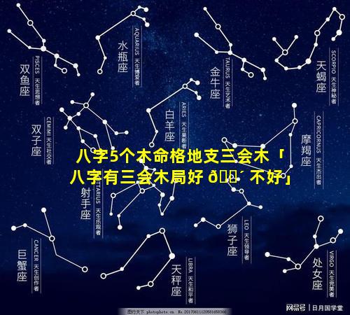 八字5个木命格地支三会木「八字有三会木局好 🐴 不好」